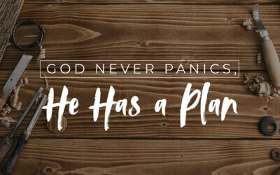 God Never Panics, He Has a Plan