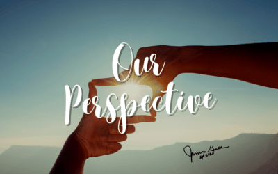 Our Perspective