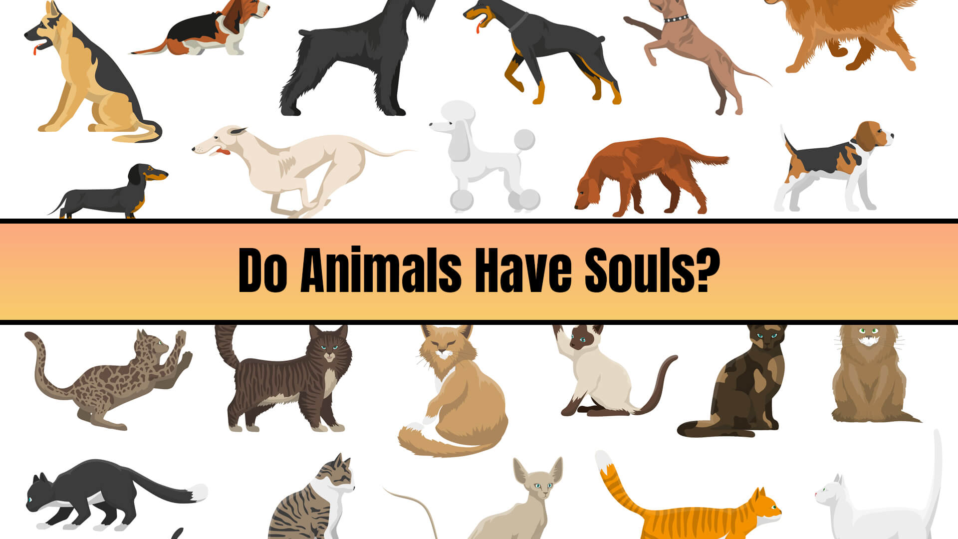 Do Animals Have Souls? - Free Personal Growth Resources