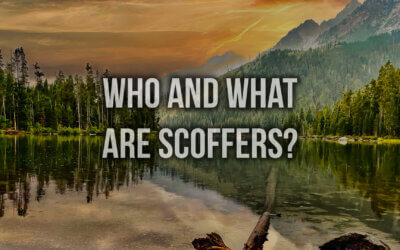 Who and What are Scoffers