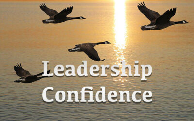 Leadership Confidence