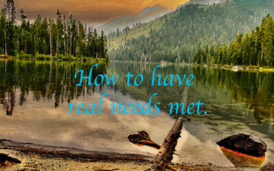How to Have Real Needs Met