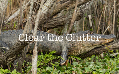 Clear the Clutter