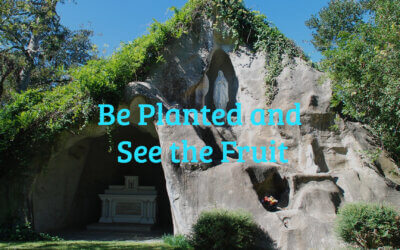 Be Planted and See the Fruit