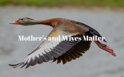 Mother’s and Wives Matter