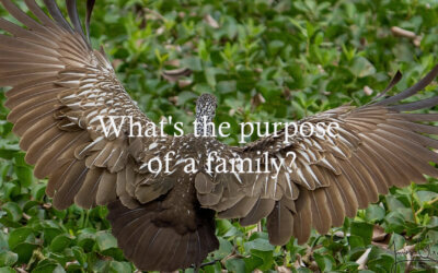 What is the Purpose of a Family?