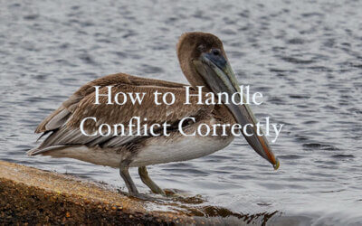 How to Handle Conflict Correctly
