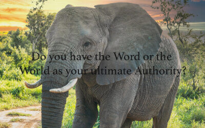 Do You Have the Word or the World as Your Ultimate Authority?