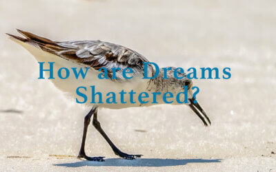 How are Dreams Shattered?