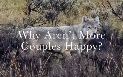 Why Aren’t More Couples Happy?