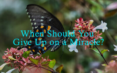 When Should You Give Up on a Miracle?