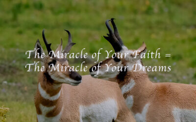 The Miracle of Your Faith = The Miracle of Your Dreams