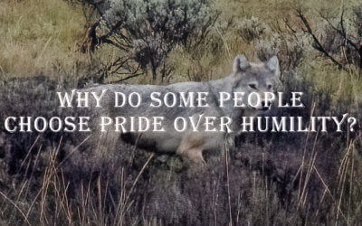 Why Do Some People Choose Pride Over Humility?