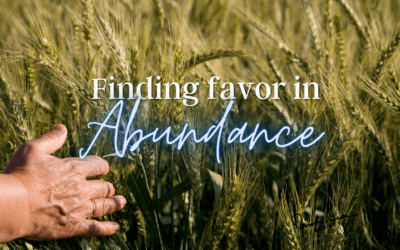 Day 19: Finding Favor in Abundance