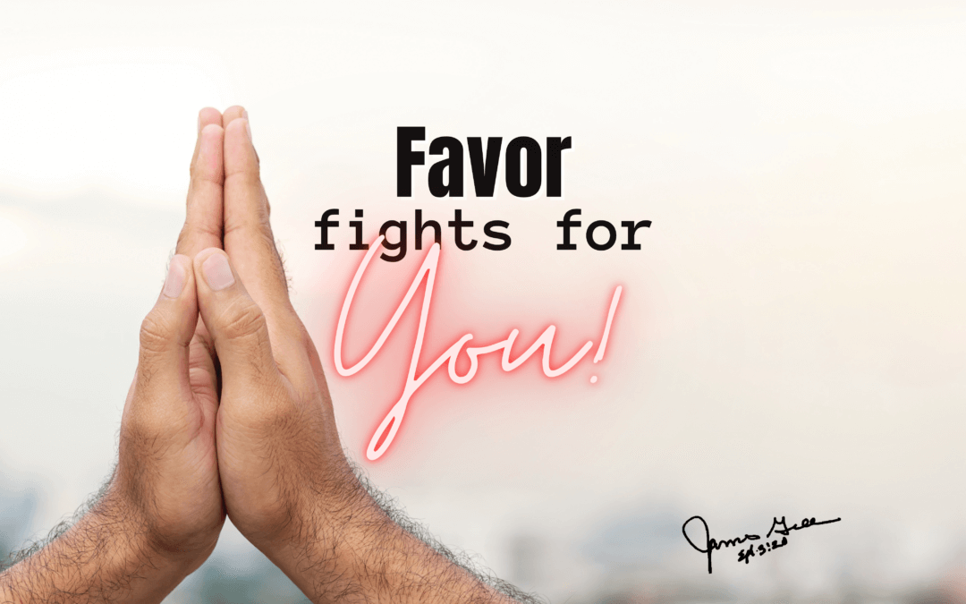 Day 41: Favor Fights for You!