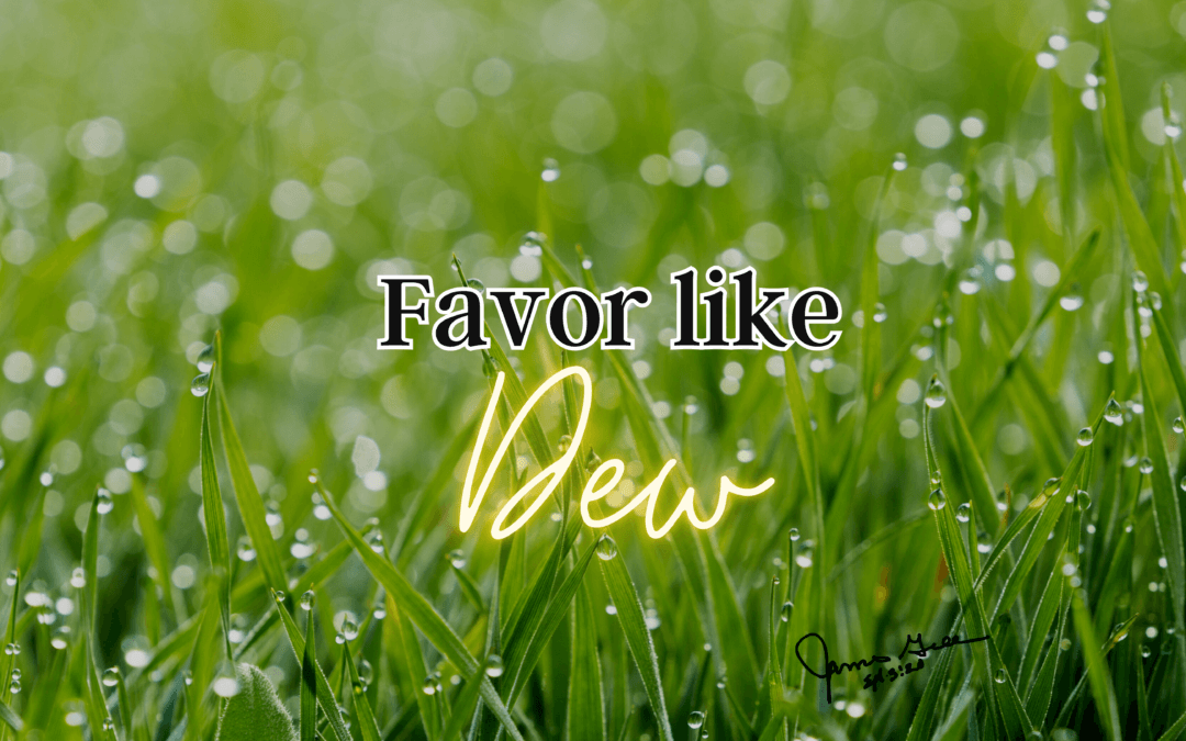 Day 49: Favor like Dew