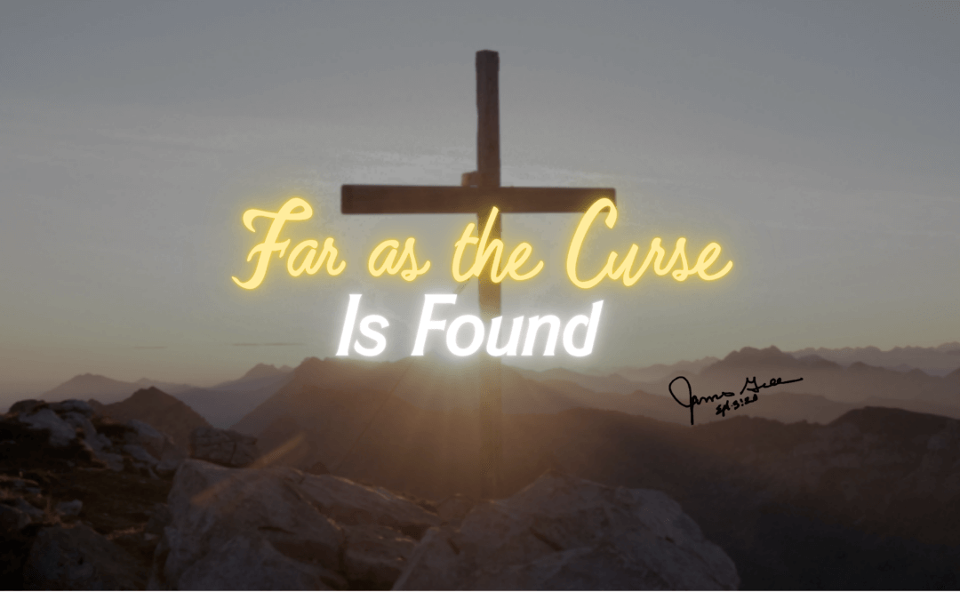 Day 7: Far as the Curse Is Found