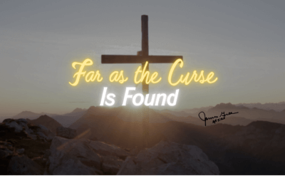 Day 7: Far as the Curse Is Found