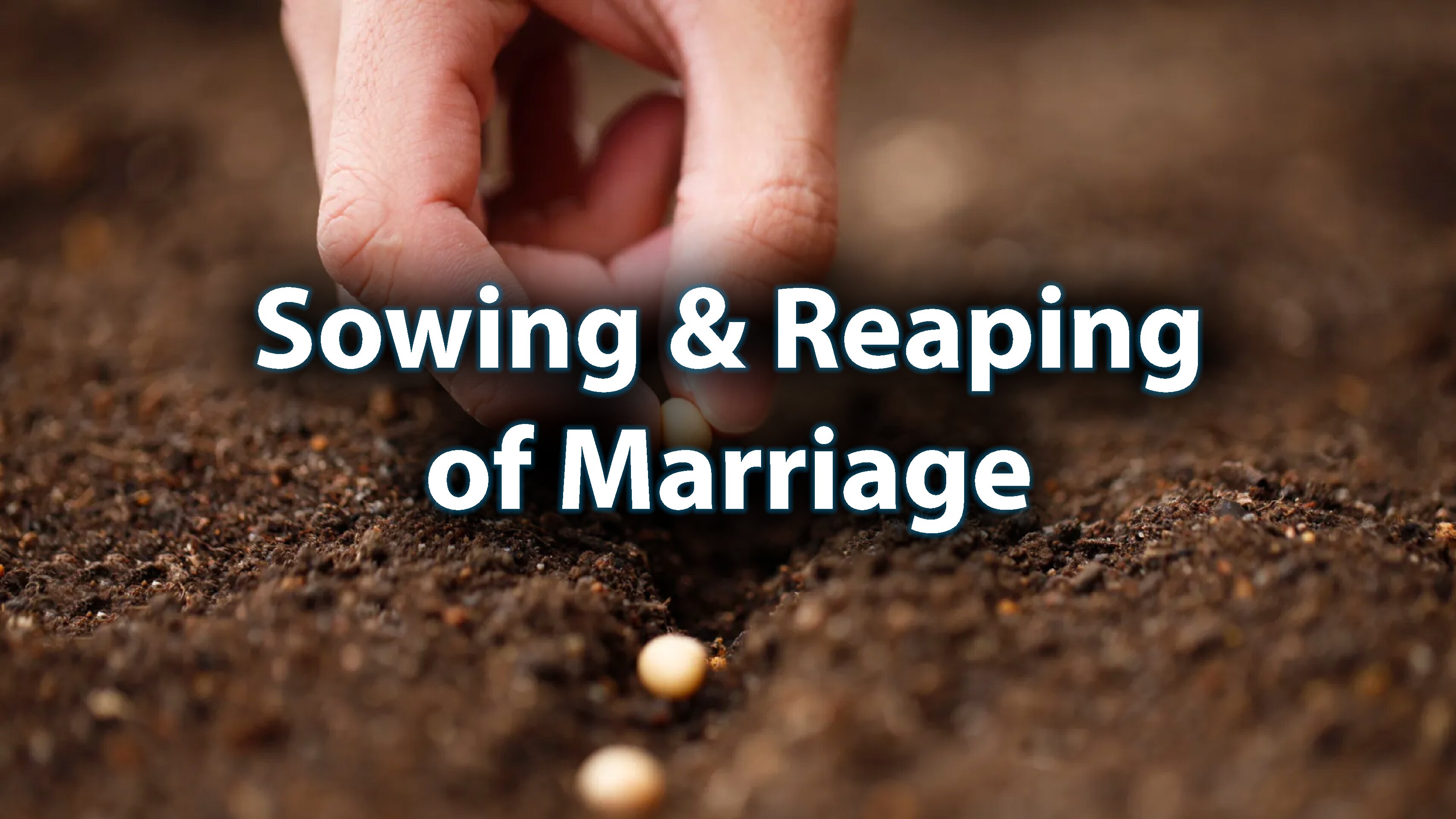 Day 25: Sowing & Reaping of Marriage