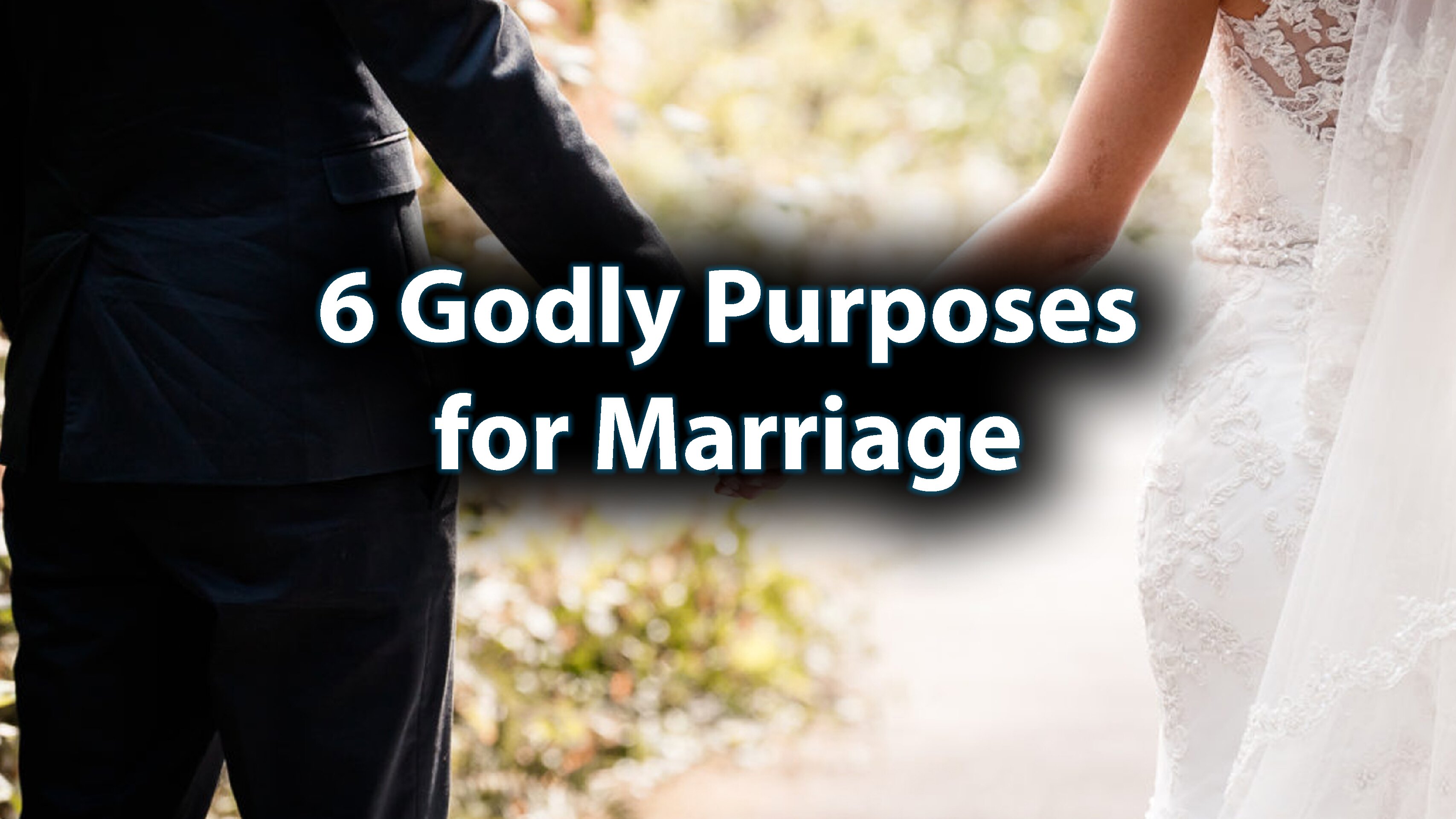 Day 30: 6 Godly Purposes for Marriage